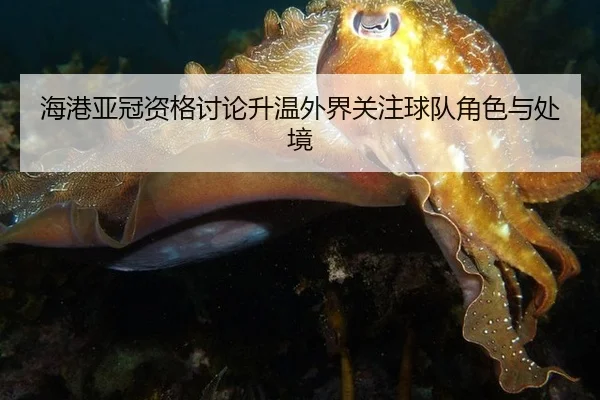 海港亚冠资格讨论升温外界关注球队角色与处境